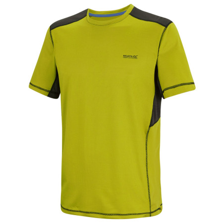 Pánské triko Regatta Virda