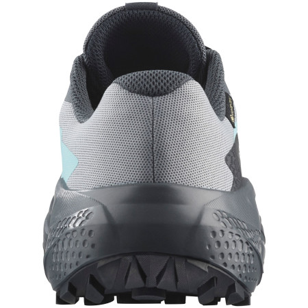 Dámské boty Salomon Alphaglide Gore-Tex