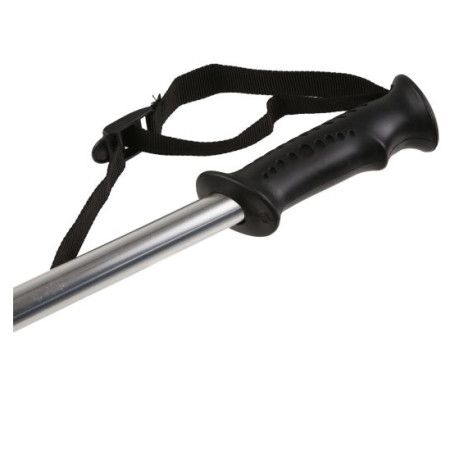 Treková hůl Regatta AS Walk Pole II