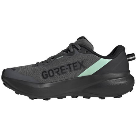 Dámské běžecké boty Adidas Terrex Tracefinder Plus Gtx