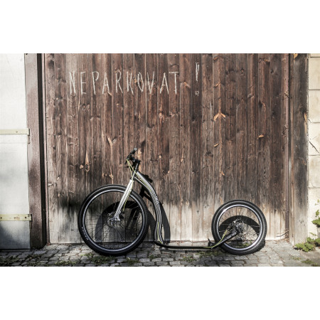 Koloběžka Yedoo Trexx Disc