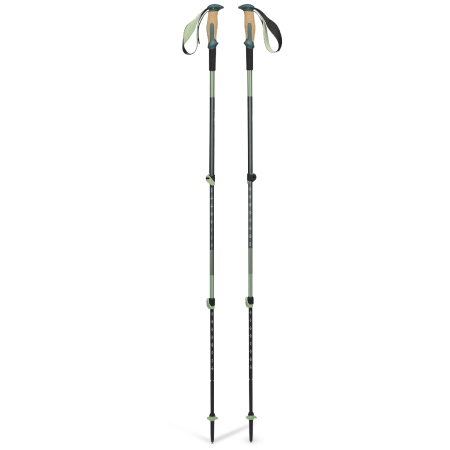 Trekové hole Black Diamond Trail Vista Shock
