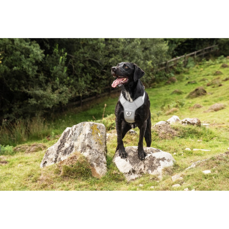 Postroj pro psa Mountain Paws Reflective Dog Harness