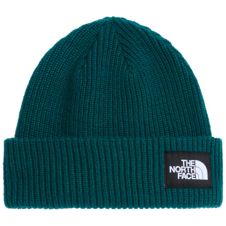 Čepice The North Face Salty Lined Beanie