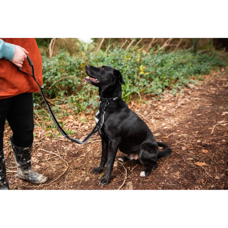 Vodítko s amortizérem Mountain Paws Stretch Dog Lead