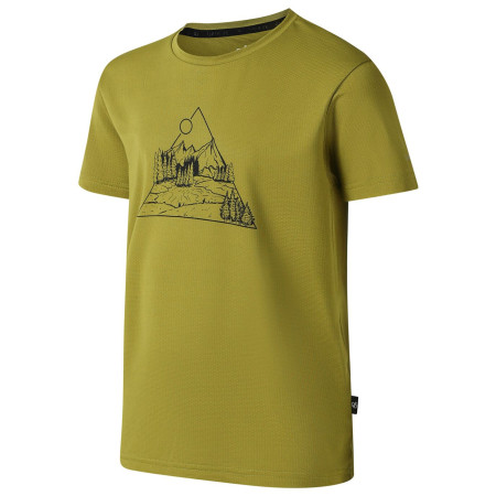 Dětské triko Dare 2b Amuse III Tee Goldn Cypress