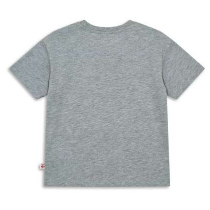 Dětské triko LEGO® Official Merchandise Lwtaj 217 Grey