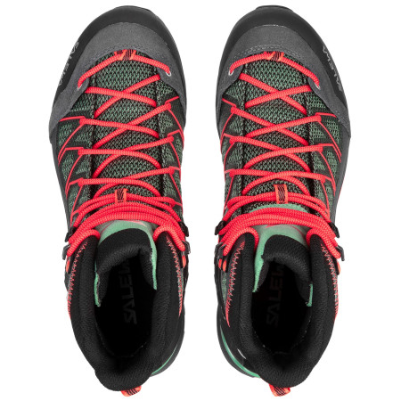 Dámské boty Salewa Ws Mtn Trainer Lite Mid Gtx