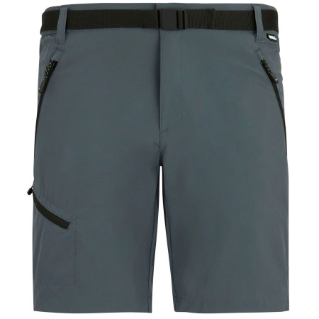 Pánské kraťasy Regatta Xert Stretch Shorts