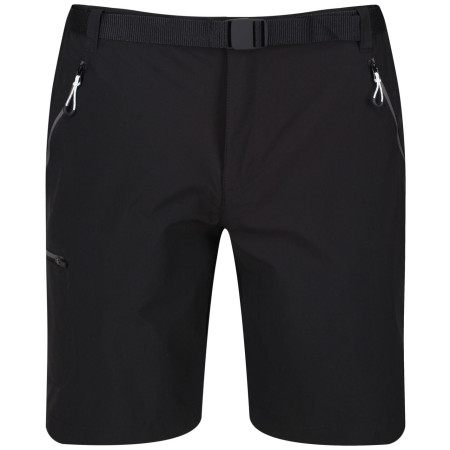 Pánské kraťasy Regatta Xert Stretch Shorts III
