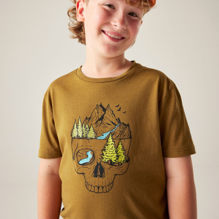 Dětské triko Dare 2b Trailbazer III Tee Dark Cumin