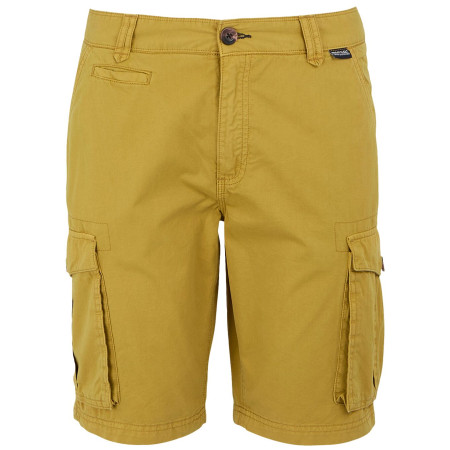 Pánské kraťasy Regatta Shorebay Shorts II