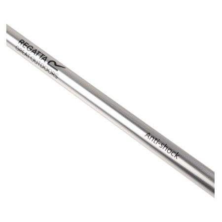 Treková hůl Regatta AS Walk Pole II