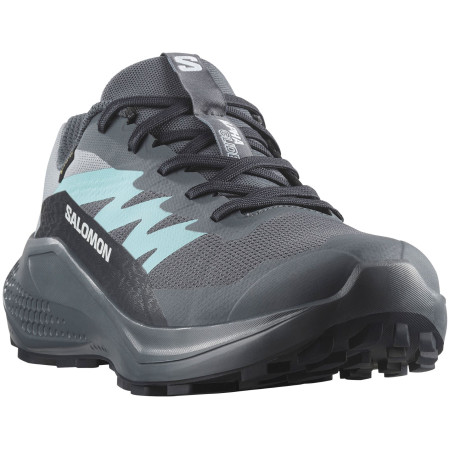 Dámské boty Salomon Alphaglide Gore-Tex