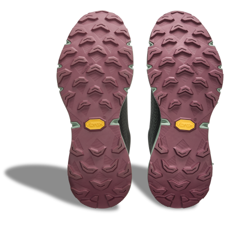 Dámské běžecké boty Dynafit Ultra 100 Gtx W