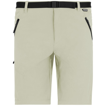Pánské kalhoty Regatta Xert Stretch Z/O Trousers