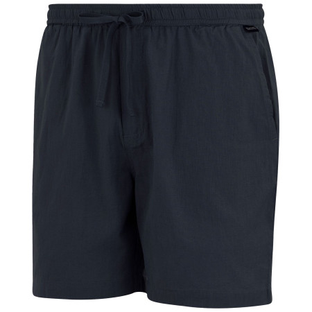Pánské kraťasy Regatta Hadlin Shorts