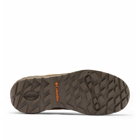 Pánské boty Columbia Newton Alpine™ Low