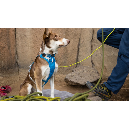 Postroj pro psa Ruffwear Flagline™ Harness