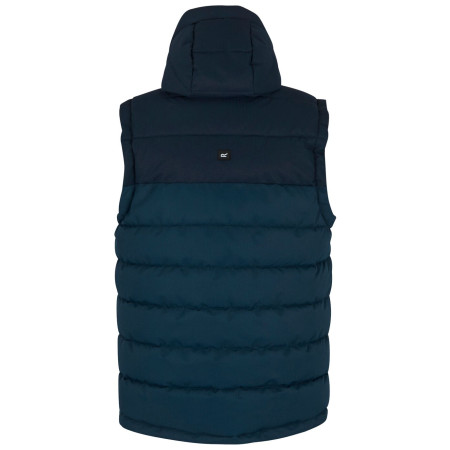 Pánská vesta Regatta Aldthorn B/W