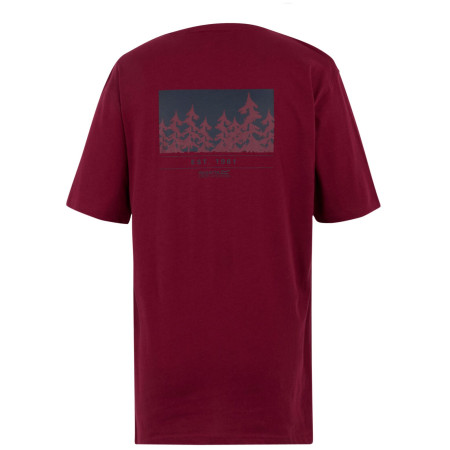 Pánské tričko Regatta Cline IX