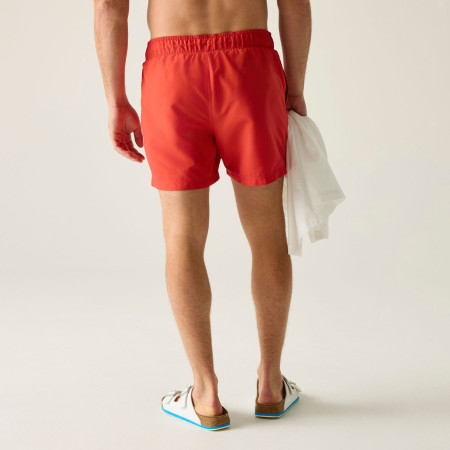 Pánské plavky Regatta Mawson Swim Shorts III