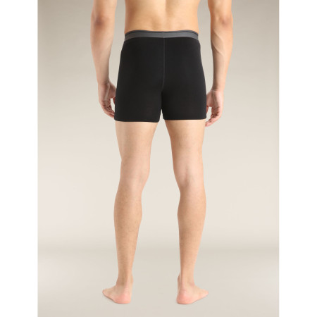 Pánské boxerky Icebreaker Mens Anatomica Boxers