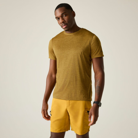 Pánské triko Regatta Fingal Edition