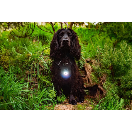 Světlo pro psa Mountain Paws Dog safety light 2-Pack