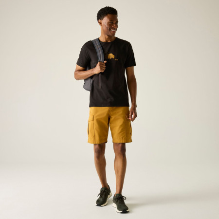 Pánské triko Regatta Cline IX