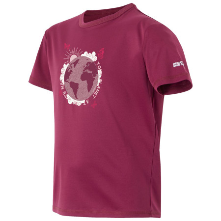Dětské triko Regatta Alvarado IX