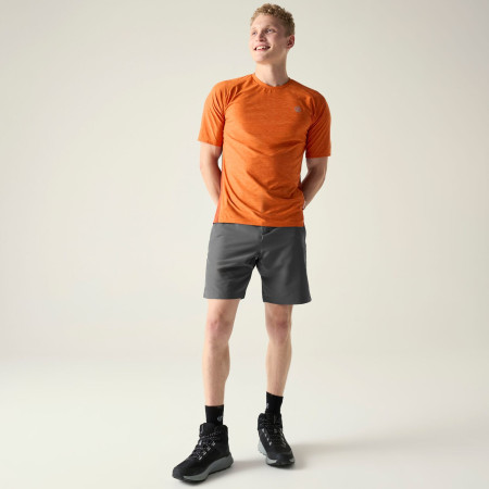 Pánské kraťasy Dare 2b Torrek II Short