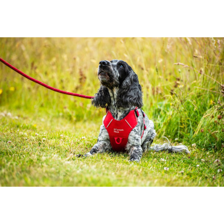 Postroj pro psa Mountain Paws Dog Harness