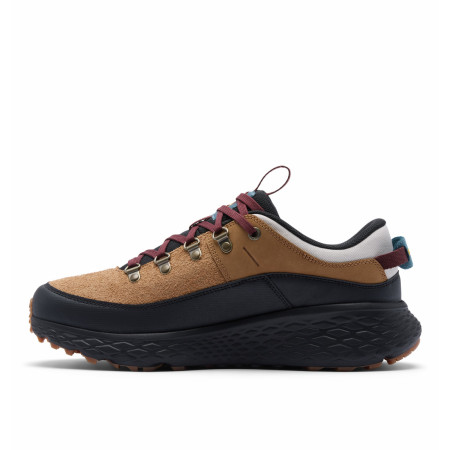 Pánské boty Columbia Terrastride Bc™