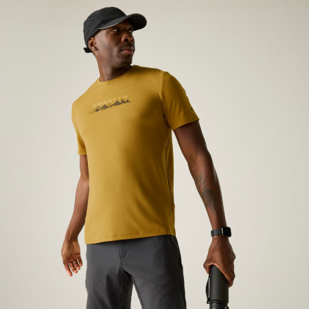 Pánské triko Regatta Fingal Stretch