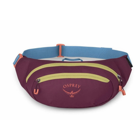 Ledvinka Osprey Daylite Waist Pack