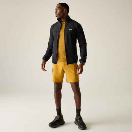 Pánská mikina Regatta Baslinn