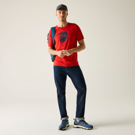 Pánské triko Regatta Cline IX