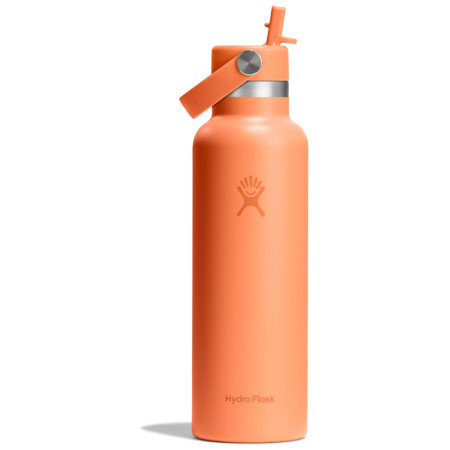 Termoska Hydro Flask Standard Flex Straw Cap 21 OZ