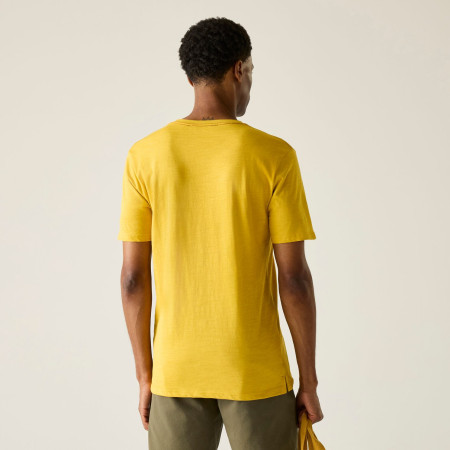 Pánské triko Regatta Rendro