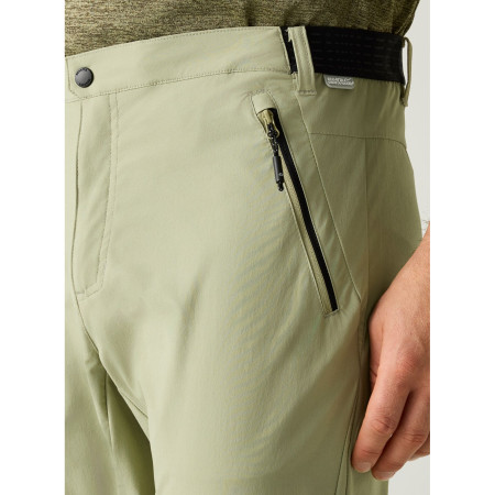 Pánské kraťasy Regatta Mountain Z/O Trousers