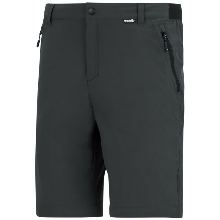 Pánské kalhoty Regatta Anti-Insect Travel Light Z/O Trousers
