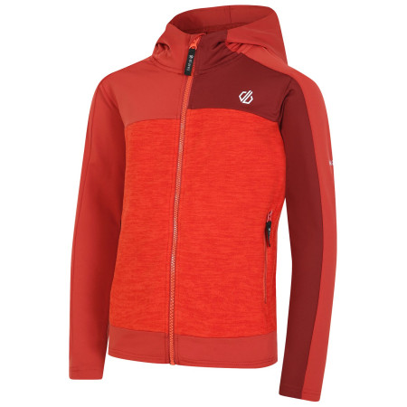 Dětská mikina Dare 2b Thriving II Core St