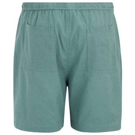 Pánské kraťasy Regatta Hadlin Shorts