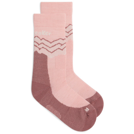 Dámské ponožky Icebreaker Women Merino Hike+ Medium Crew Across the Peaks