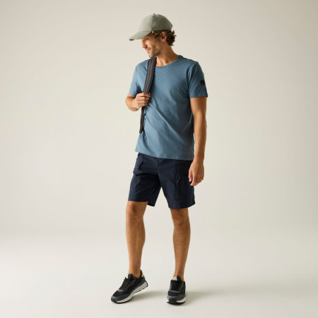 Pánské kraťasy Regatta Arlery Shorts