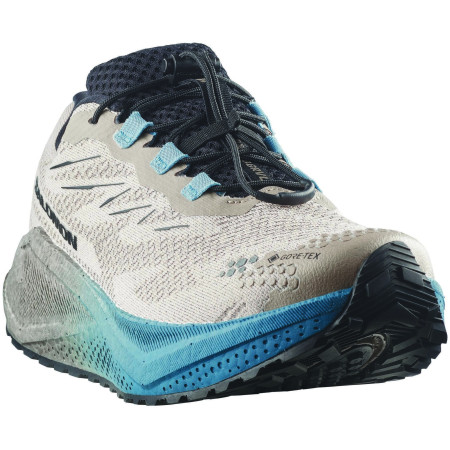Pánské boty Salomon Aero Blaze 4 Grvl Gtx