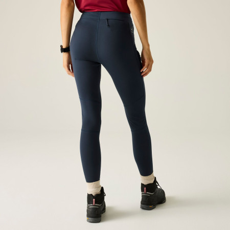 Dámské legíny Dare 2b Haik Legging