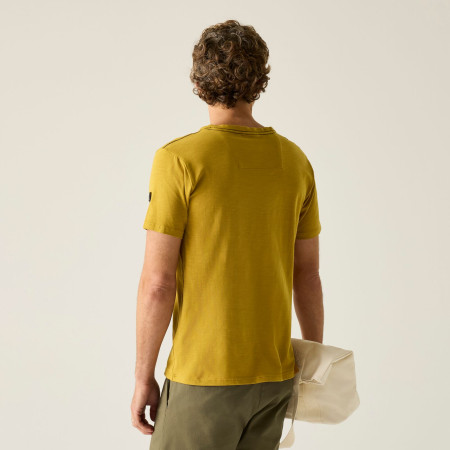 Pánské triko Regatta Finlo