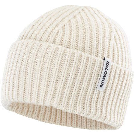 Čepice Salomon Snowbird Beanie U